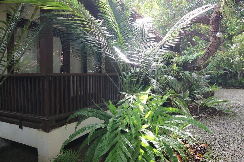 Blue Bayou Bungalows Balabag (Boracay) Exterior foto